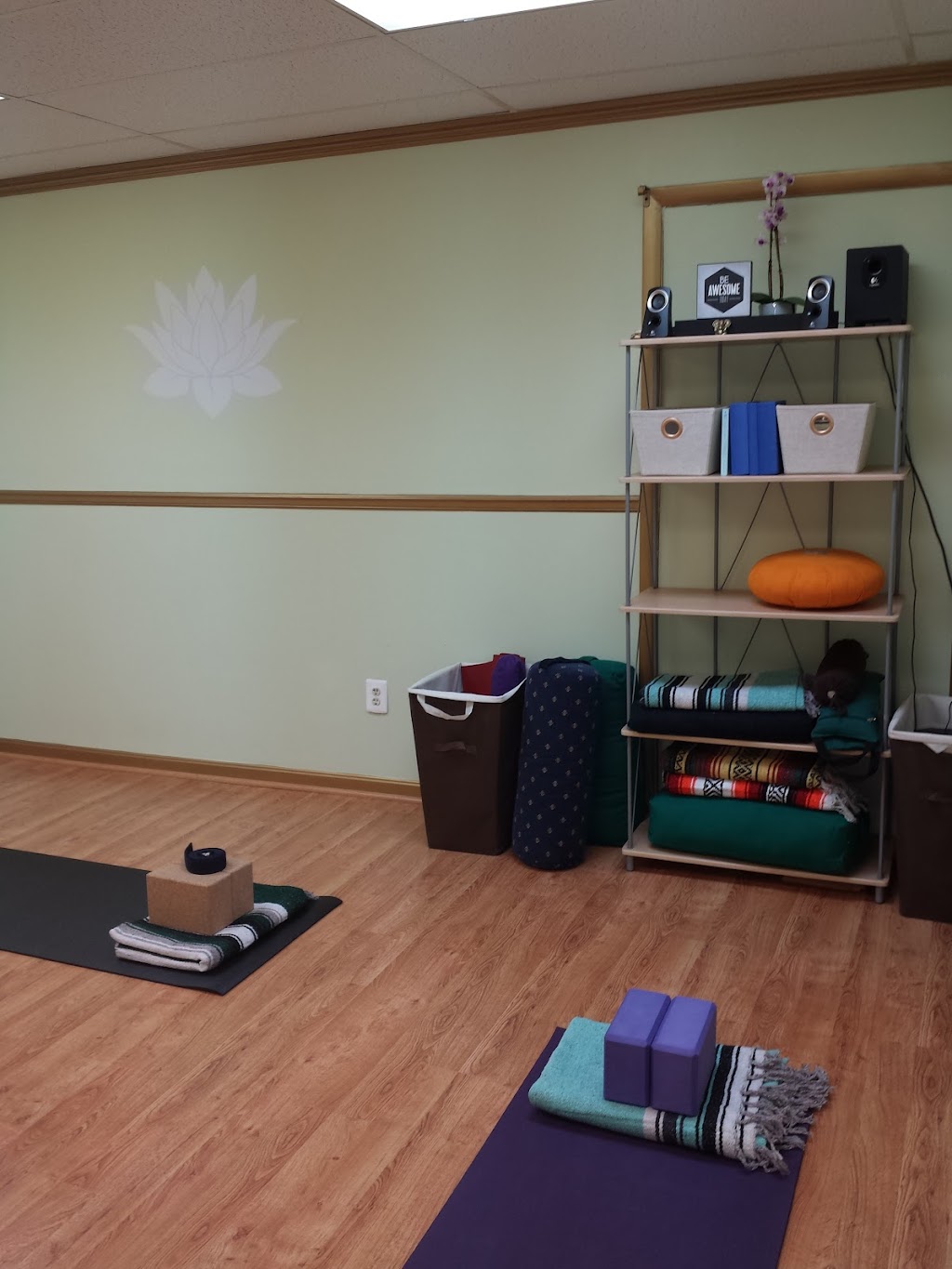 Yoga with Olga, LLC | Wellness Center, 3691 Park Ave, Ellicott City, MD 21043, USA | Phone: (443) 636-1243