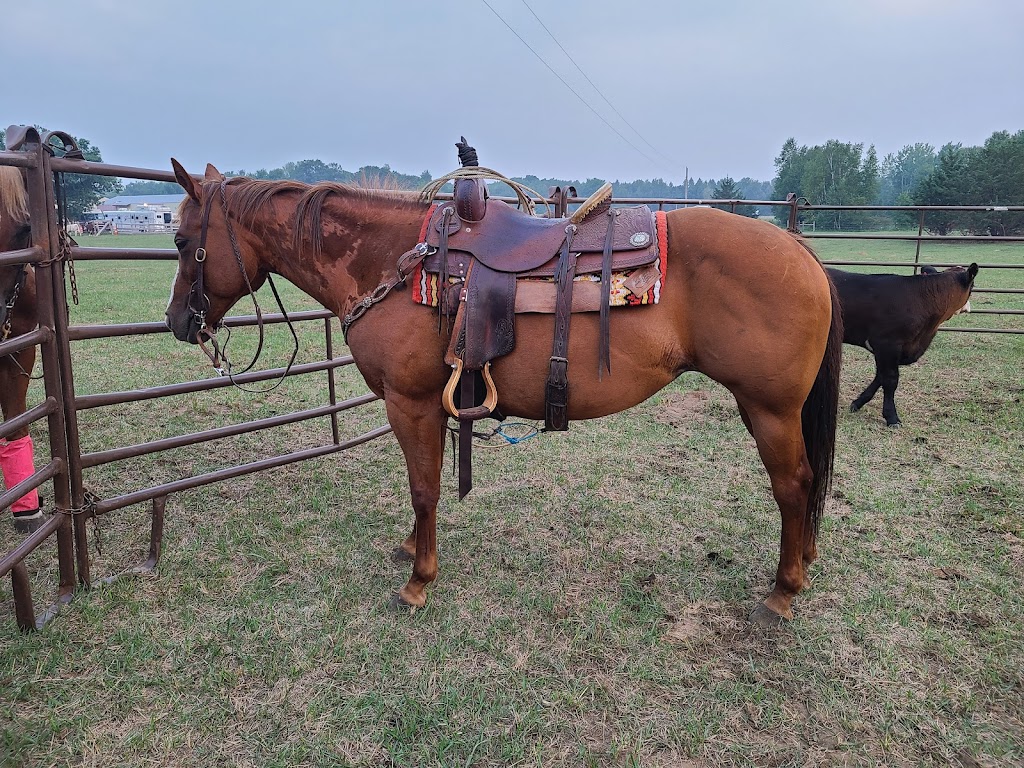K & S Horse Company | 35449 Grand Ave, North Branch, MN 55056, USA | Phone: (651) 308-7915