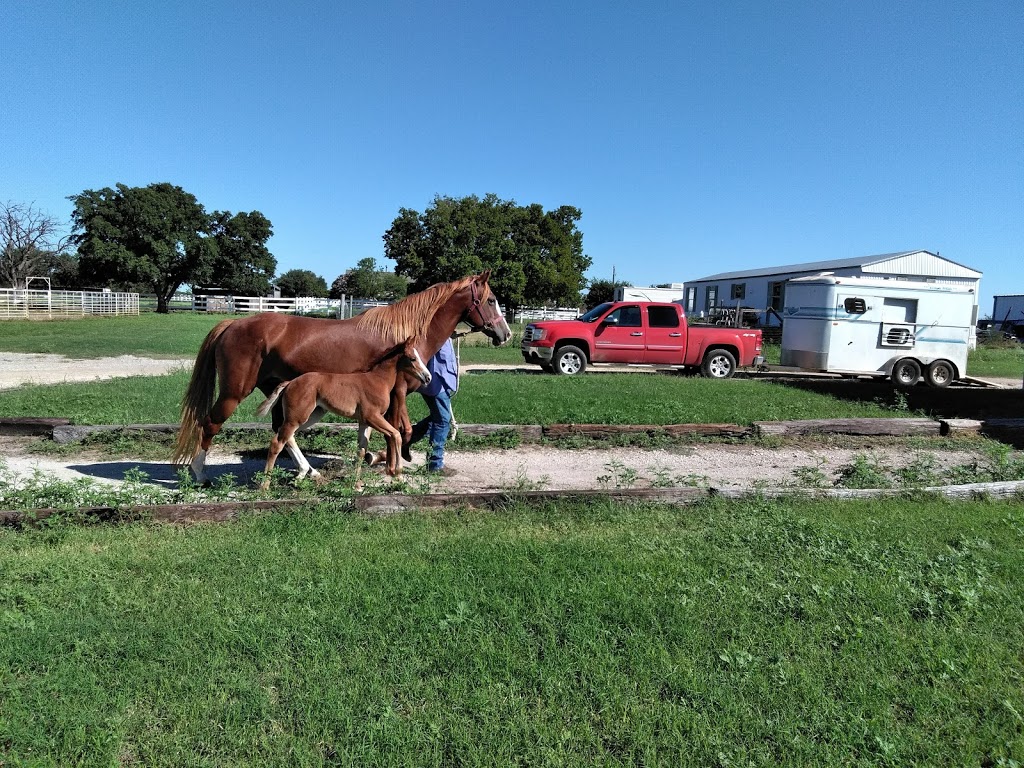 Lake Trail Stables | 5490 Rocky Creek Park Rd, Crowley, TX 76036, USA | Phone: (817) 291-8163