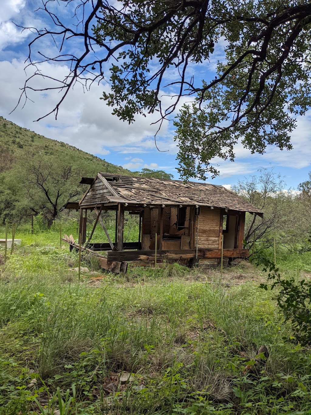 Santa Rita Experimental Range | Green Valley, AZ 85614, USA | Phone: (520) 625-3243