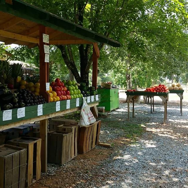 Old Camden Produce | 2517 Old Camden Rd, Monroe, NC 28110 | Phone: (704) 254-4032