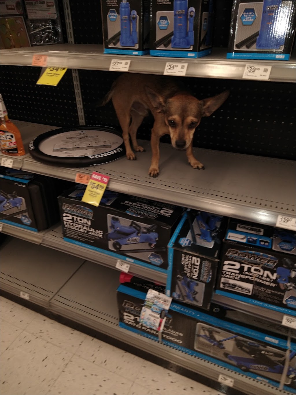 OReilly Auto Parts | 13710 W Waddell Rd, Surprise, AZ 85379, USA | Phone: (623) 544-9560
