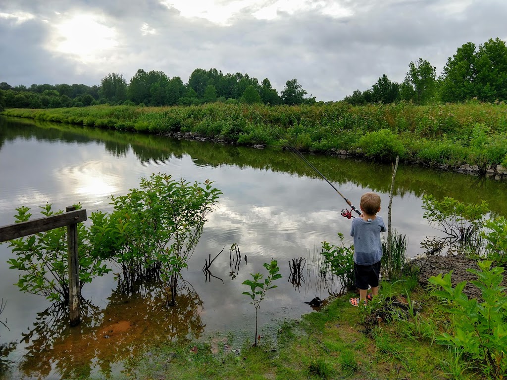 Amelia Wildlife Management Area | Amelia Court House, VA 23002, USA | Phone: (434) 525-7522