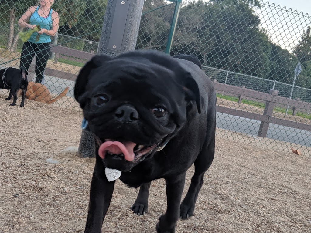 South Pawsadena Dog Park | 650 Stoney Dr, South Pasadena, CA 91030, USA | Phone: (626) 403-7380