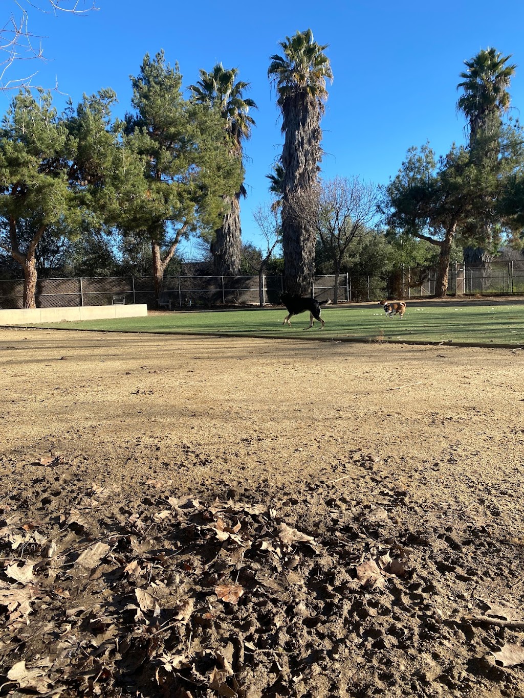 Miyuki Dog Park | San Jose, CA 95119, USA | Phone: (408) 535-3570