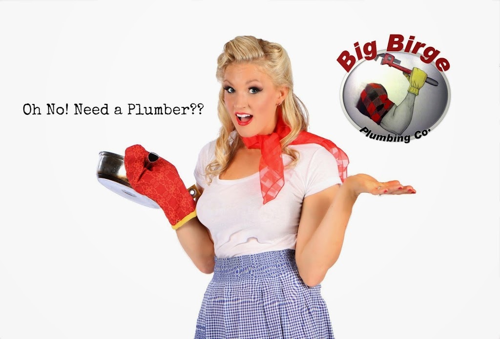 Big Birge Plumbing | 2315 N 203rd St, Elkhorn, NE 68022, USA | Phone: (402) 575-0102