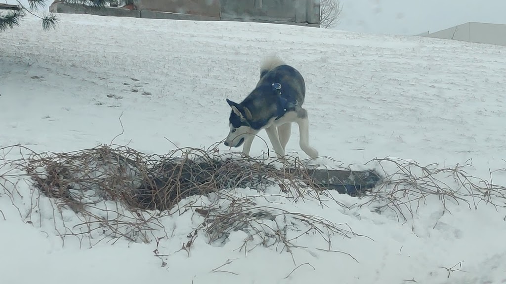 Westminster Station Pond | R0100116, Denver, CO 80221, USA | Phone: (303) 658-2400 Westminster Station Pond | R0100116, Denver, CO 80221, USA | Phone: (303) 658-2400