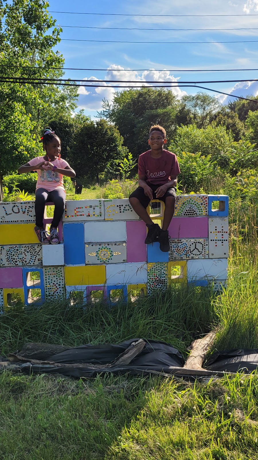 Small Ville Learning Farms | 5862 Malcolm St, Detroit, MI 48213, USA | Phone: (313) 721-8220