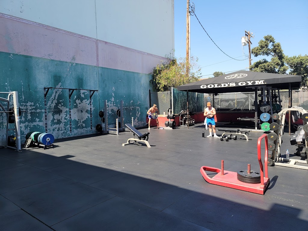 Golds Gym Venice | 360 Hampton Dr, Venice, CA 90291, USA | Phone: (310) 392-6004