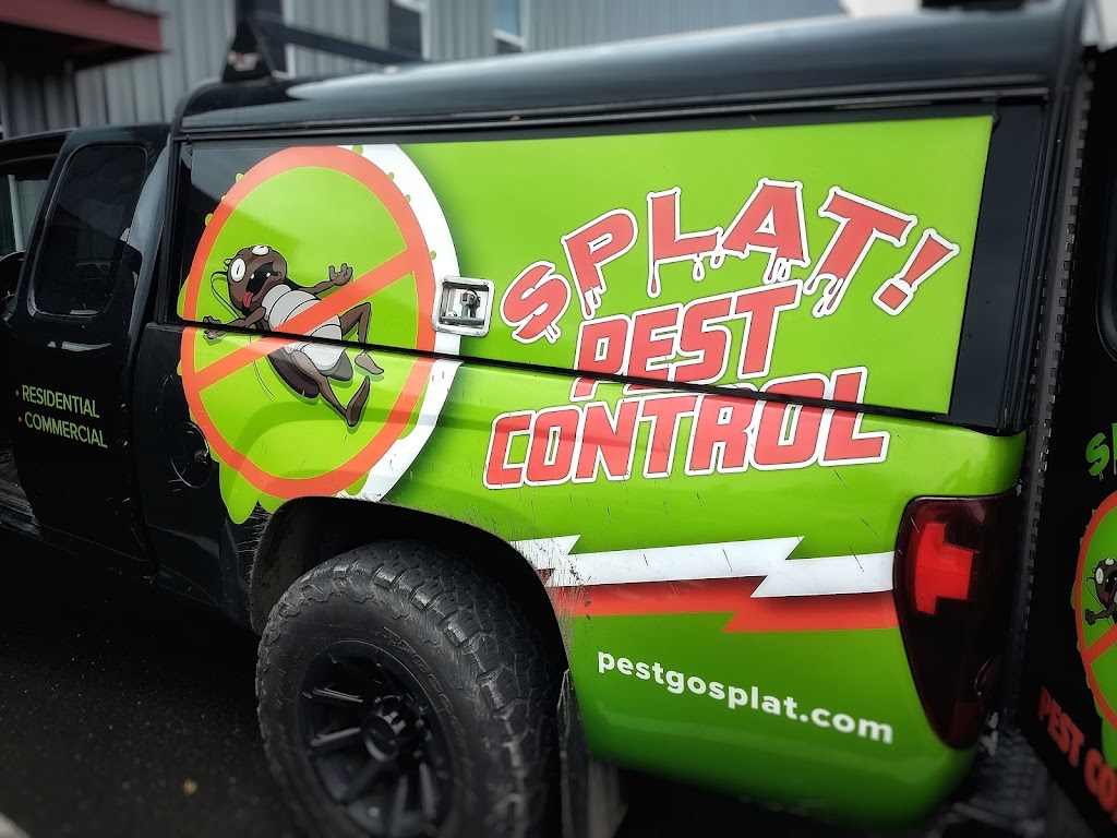 Splat Pest Control | 18329 WA-3 #1767, Allyn, WA 98524, USA | Phone: (425) 445-3734