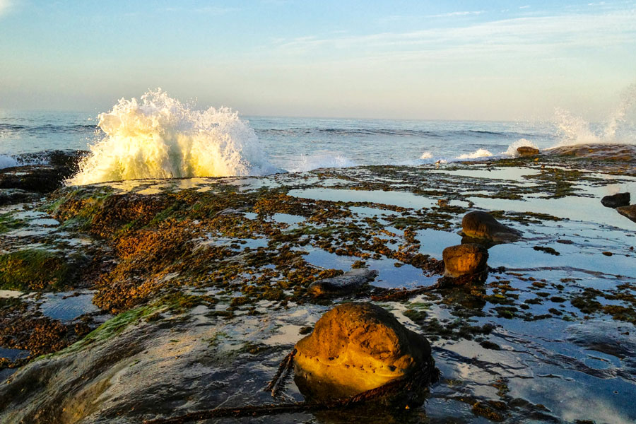 Las Gaviotas Rentals | Escenica Ensenada - Tijuana 41.5, Las Gaviotas, 22713 Playas de Rosarito, B.C., Mexico | Phone: (619) 736-5535