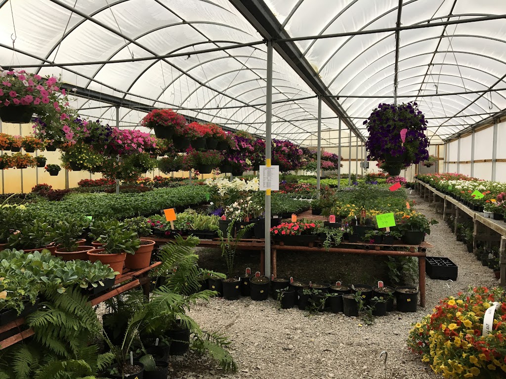 Grants Farm & Greenhouses | 5552 Bucktown Rd, Williamsburg, OH 45176, USA | Phone: (513) 625-9441