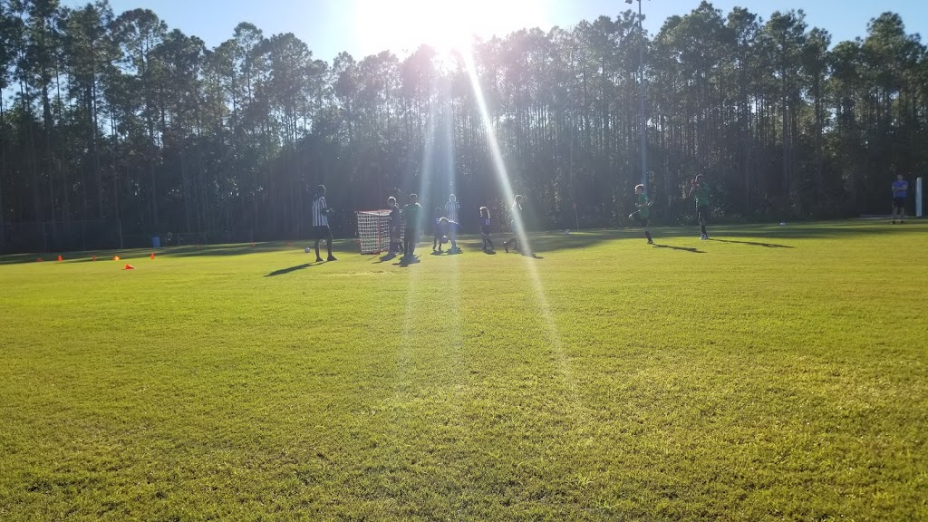 Durbin Crossing Park Ball Wall Field | 318 Islesbrook Pkwy, Jacksonville, FL 32259, USA | Phone: (904) 660-7767