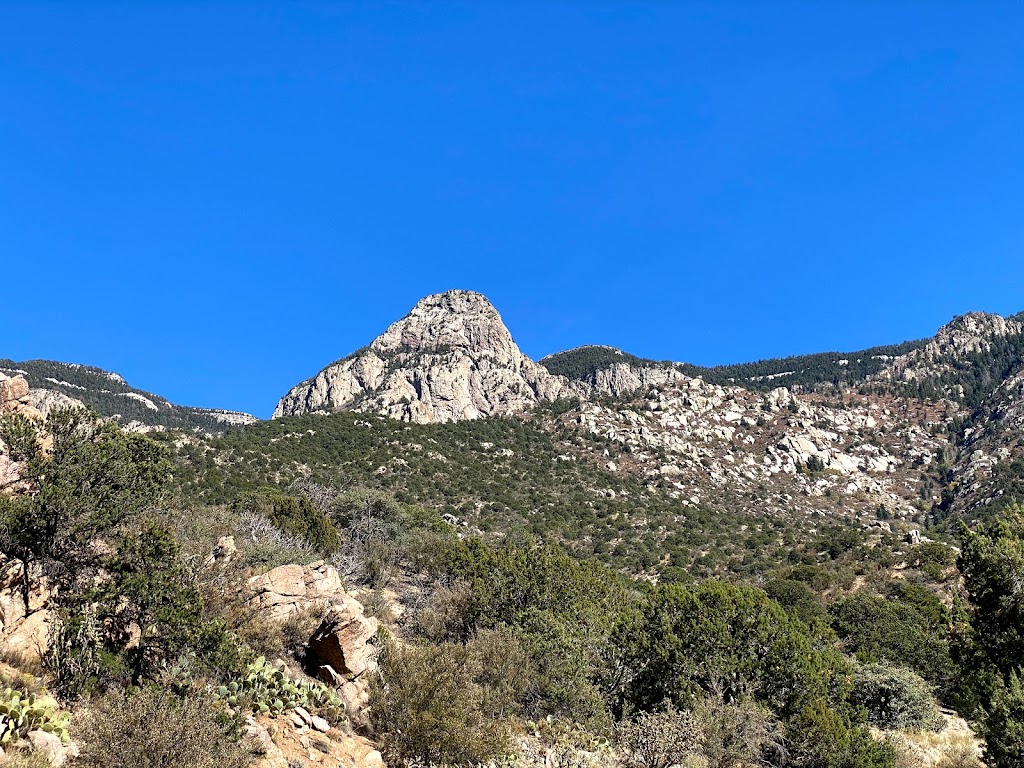 Cibola National Forest | Albuquerque, NM 87113, USA | Phone: (505) 346-3900