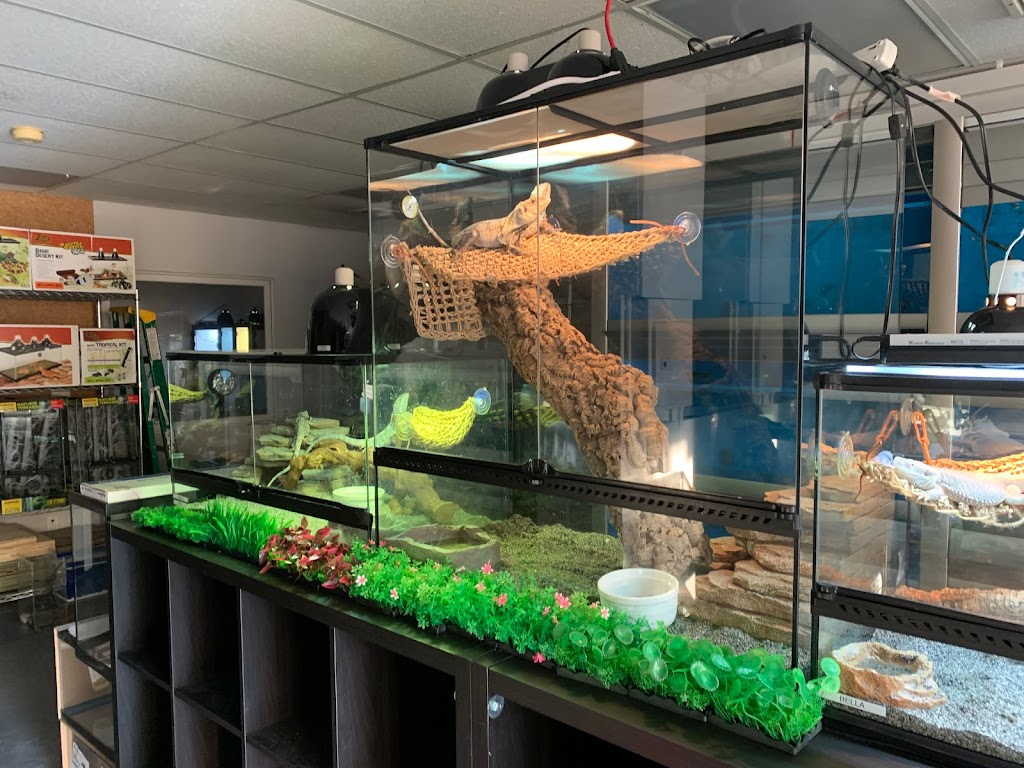 A & R Reptiles and Aquariums | 116 S Central Ave A, Elmsford, NY 10523, USA | Phone: (914) 372-7101