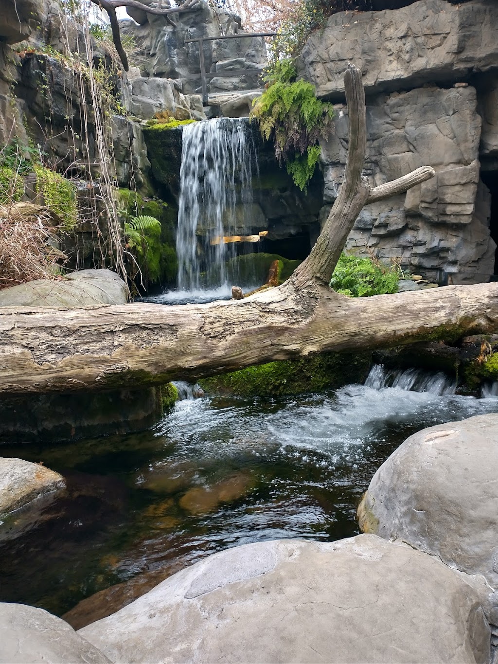 Tennessee Aquarium | 1 Broad St, Chattanooga, TN 37402, USA | Phone: (423) 265-0695