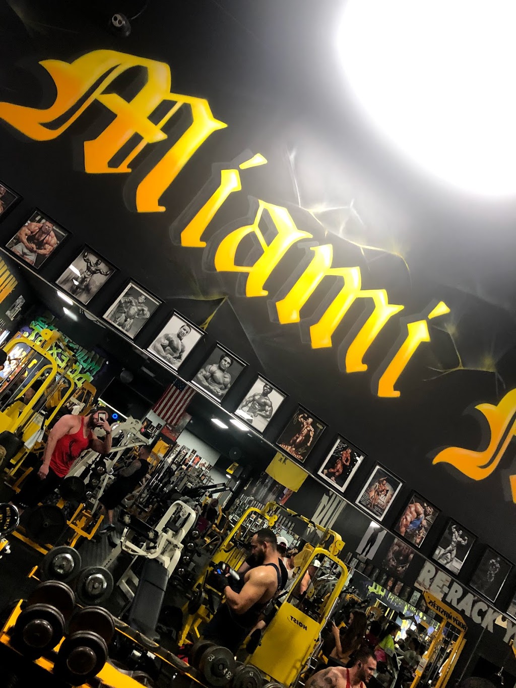 Miami Iron Gym | 9660 Coral Way, Miami, FL 33165, USA | Phone: (786) 332-4025