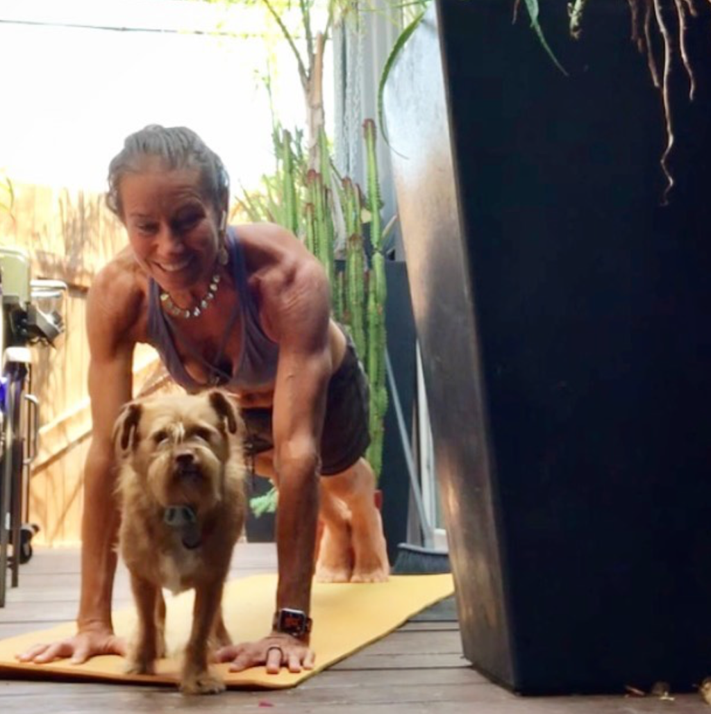 Tennis Fitness Love | 1989 Wood Hollow Pl, Sarasota, FL 34235, USA | Phone: (310) 463-6550