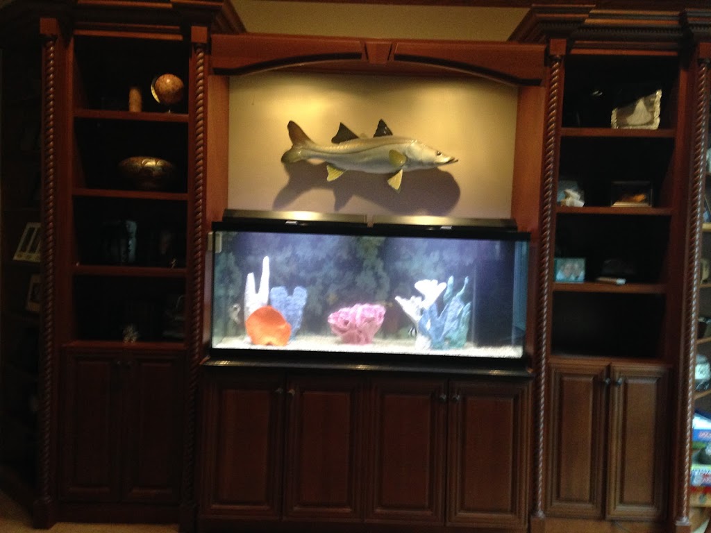 Dayton Aquarium Company | 132 Westpark Rd, Dayton, OH 45459, USA | Phone: (937) 435-1352