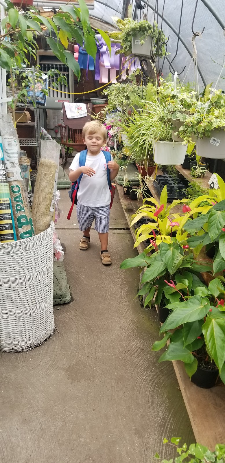 Touch of Green Nursery & Garden | 2701 Hylan Blvd, Staten Island, NY 10306, USA | Phone: (718) 987-9239