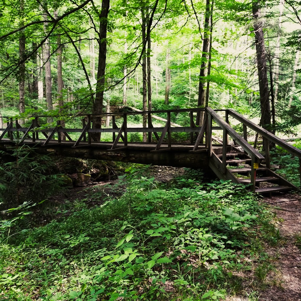 Erie County Forest | 11323 Co Rd 409, East Concord, NY 14055, USA | Phone: (716) 496-7410