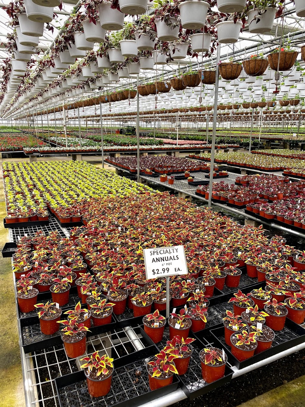 Gaskos Family Farm and Greenhouses | 112 Federal Rd, Monroe Township, NJ 08831, USA | Phone: (732) 446-9205