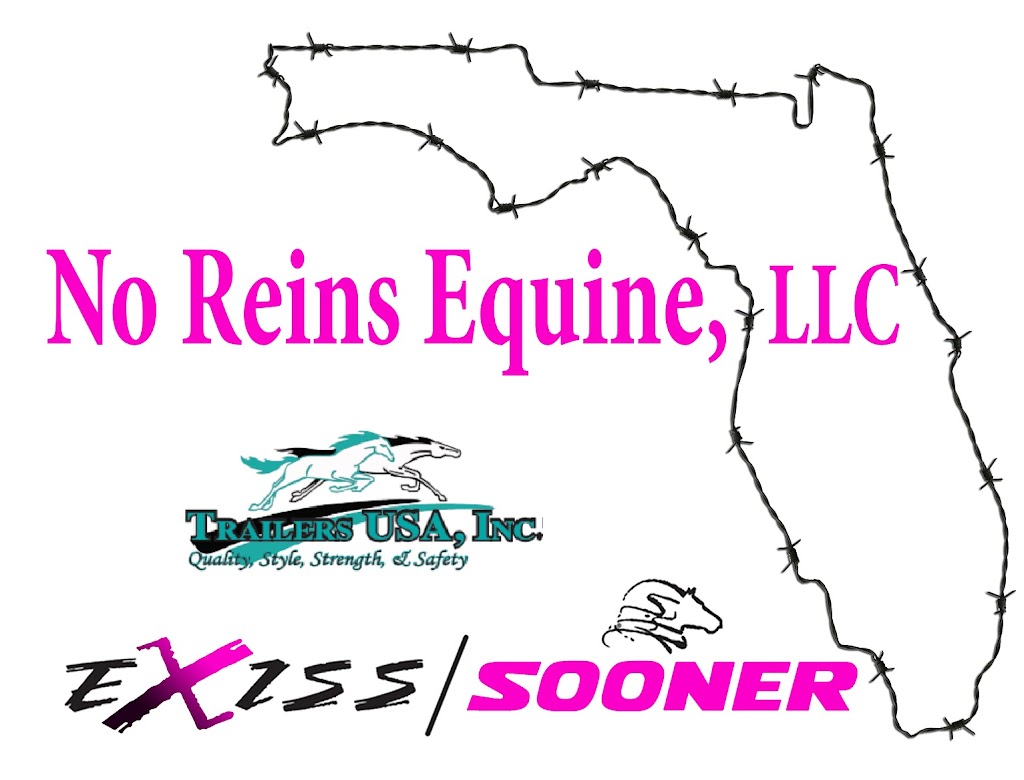 No Reins Equine, LLC | 2262 E C 478, Webster, FL 33597, USA | Phone: (352) 427-3369