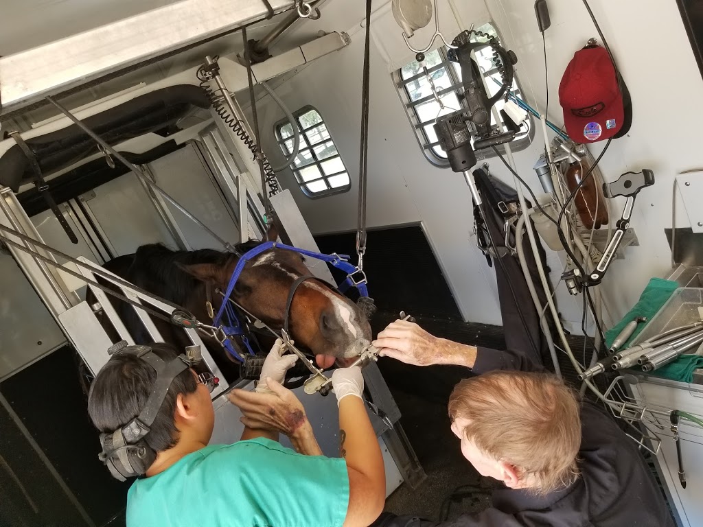 Richard O.Miller,DVM | 31441 Santa Margarita Pkwy a215, Rancho Santa Margarita, CA 92688, USA | Phone: (949) 233-0707