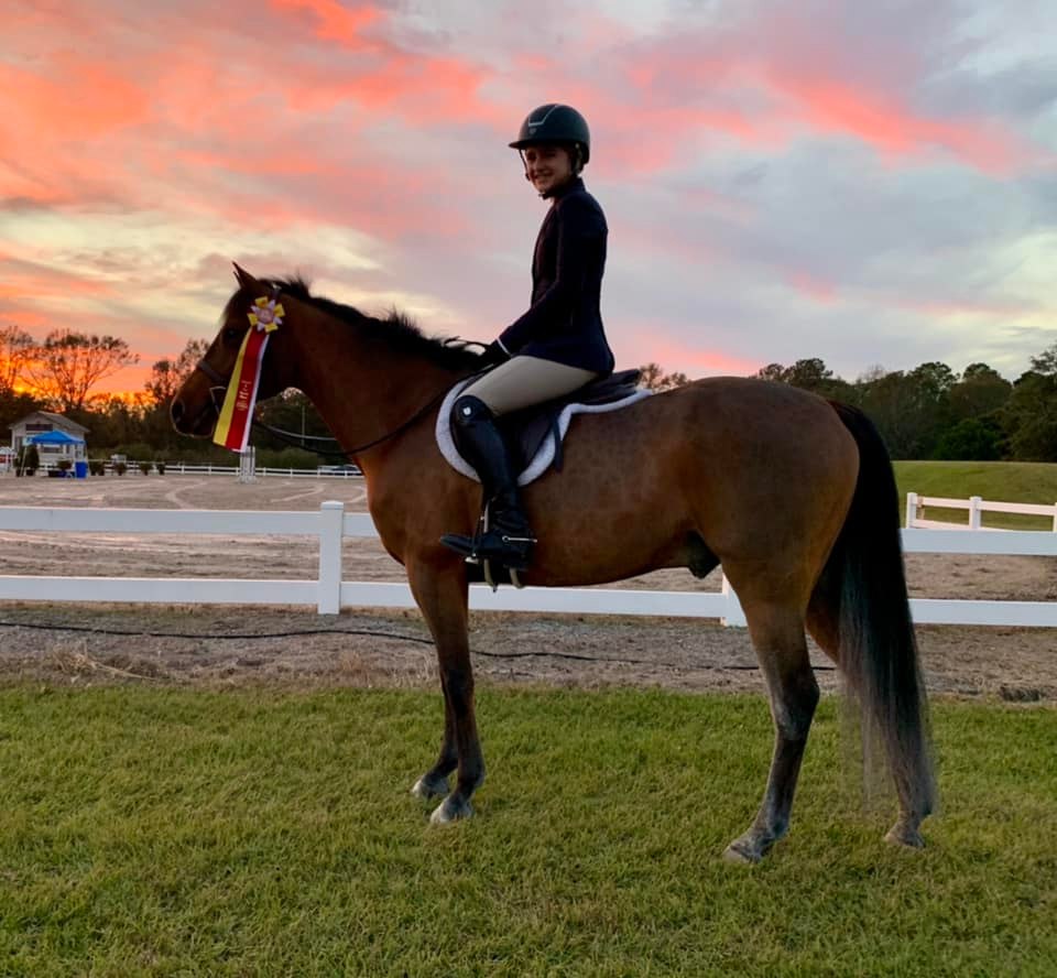 Lancaster Hill Stables | 8696 Co Rd 133, Celina, TX 75009, USA | Phone: (719) 353-7850