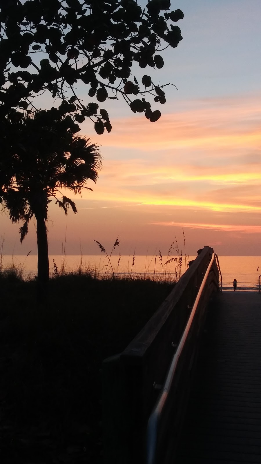 AgentJane Health & Life | 2313 Bay Blvd, Indian Rocks Beach, FL 33785, USA | Phone: (727) 314-0116