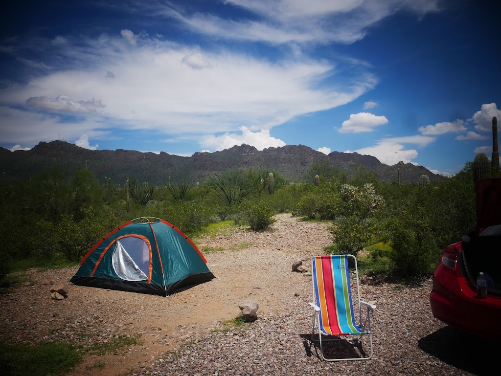 Gilbert Ray Campground | 8451 W McCain Loop, Tucson, AZ 85735, USA | Phone: (520) 403-8116