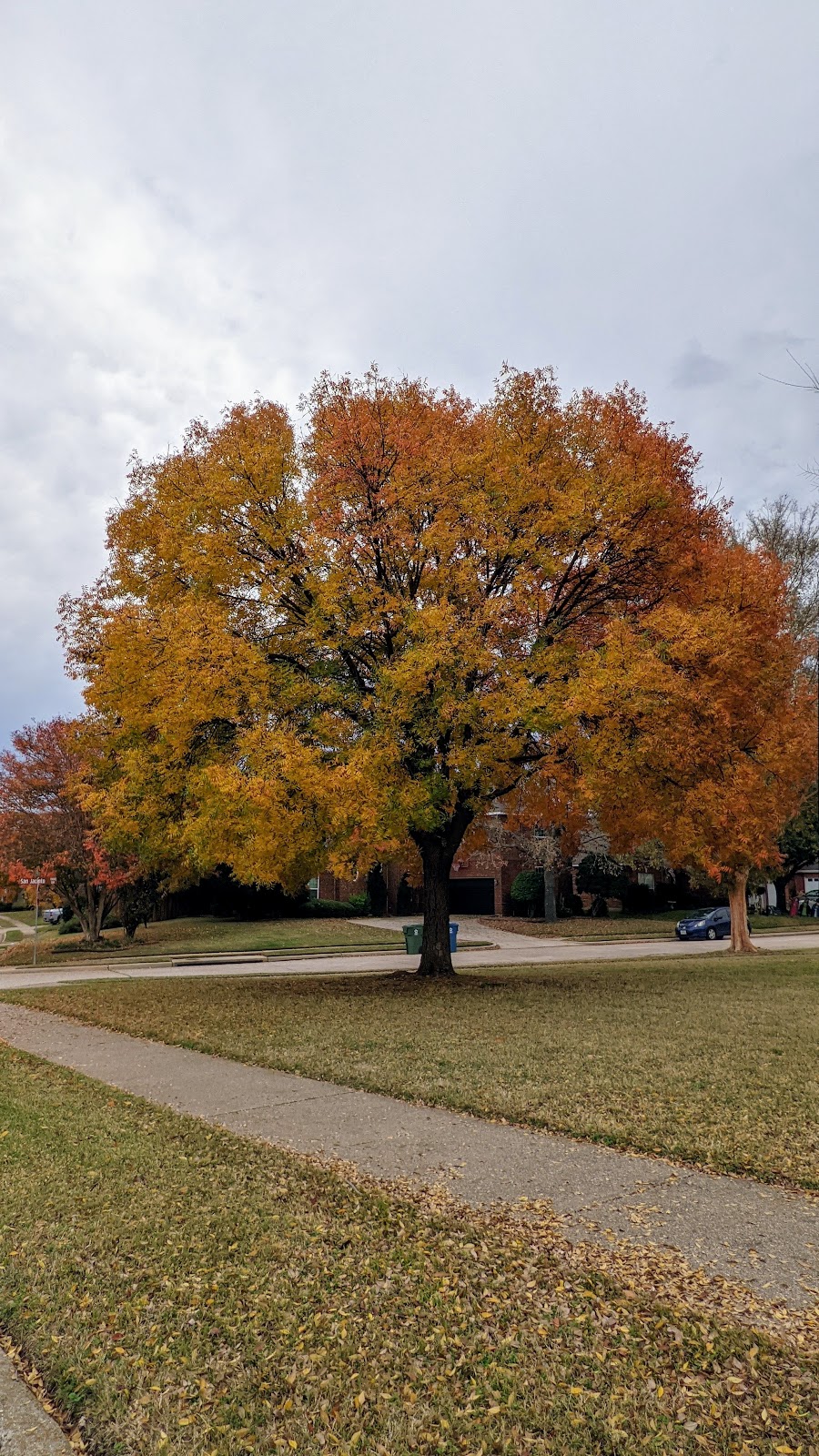 Shadow Ridge Park | Flower Mound, TX 75028, USA | Phone: (972) 874-6300