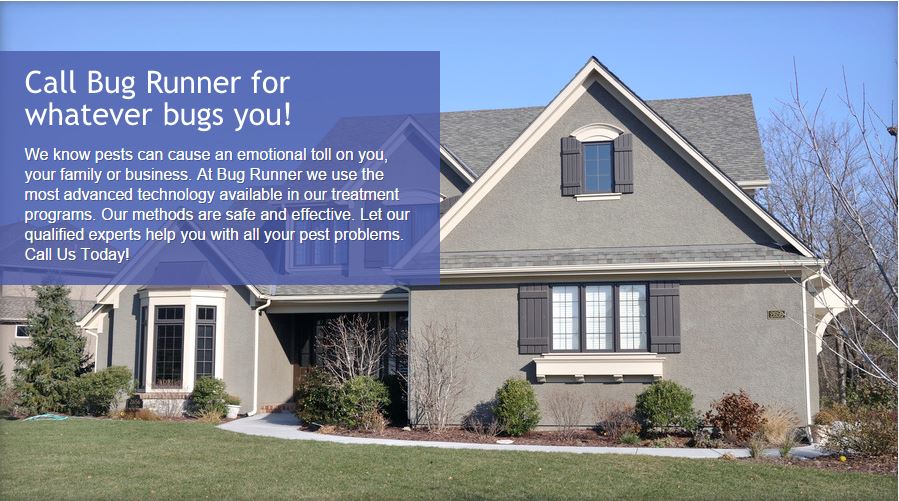 Bug Runner-Exterminating Co | 680 N Main St, Spring Valley, NY 10977 | Phone: (845) 352-1147