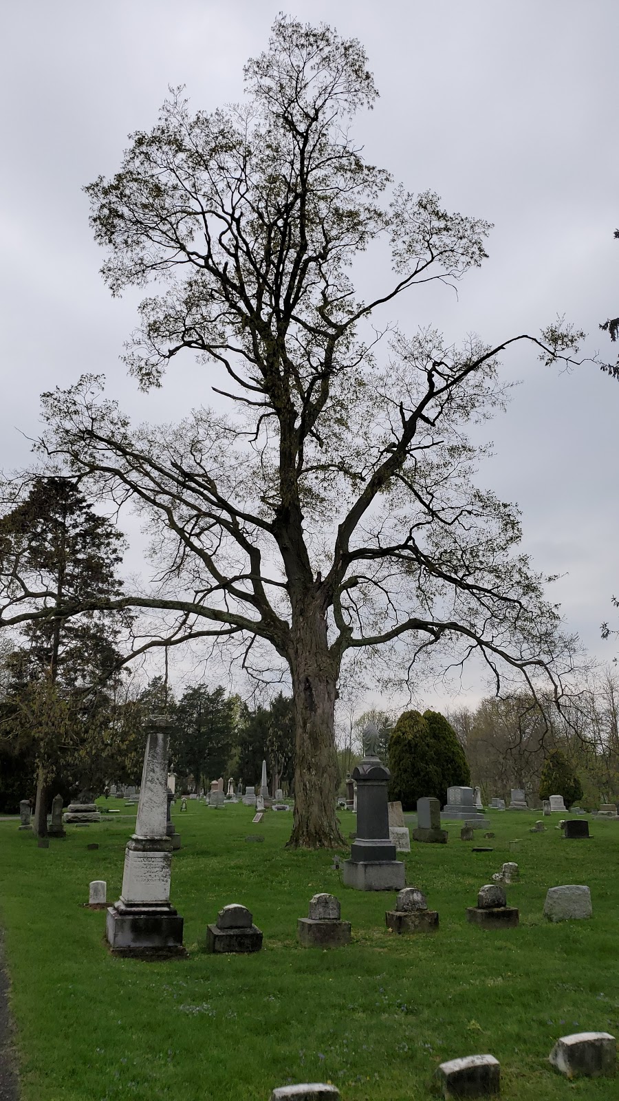 Ashland Cemetery | 523 W Main St, Ashland, OH 44805, USA | Phone: (419) 289-8467