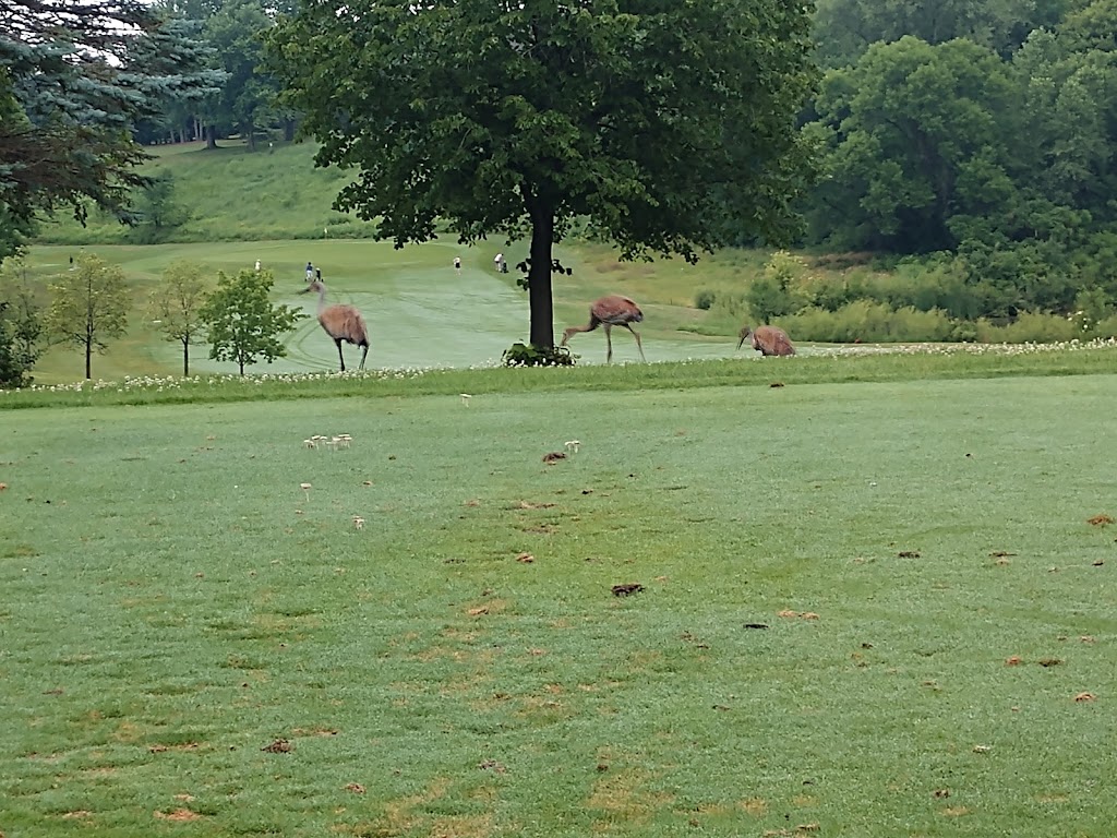 Baker National Golf Course | 2935 Parkview Dr, Hamel, MN 55340, USA | Phone: (763) 694-7670