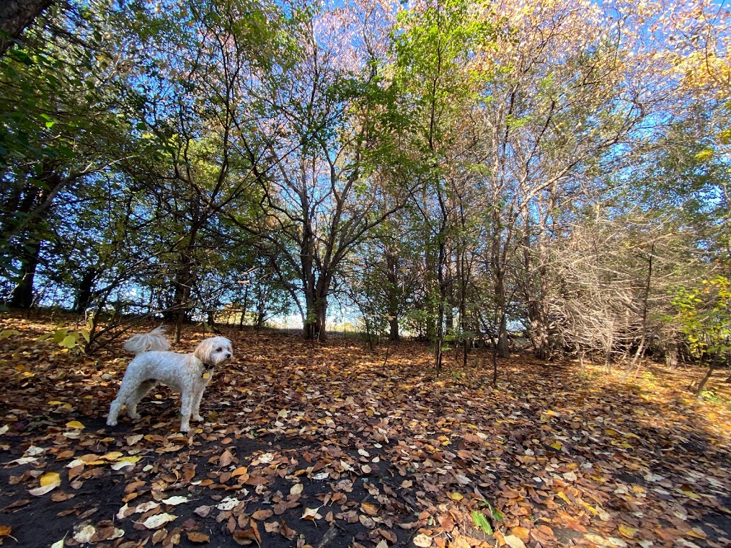 Bloomington Off-leash Dog Park | Nesbitt Ave S & West 110th Street, Bloomington, MN 55438, USA | Phone: (952) 563-8877