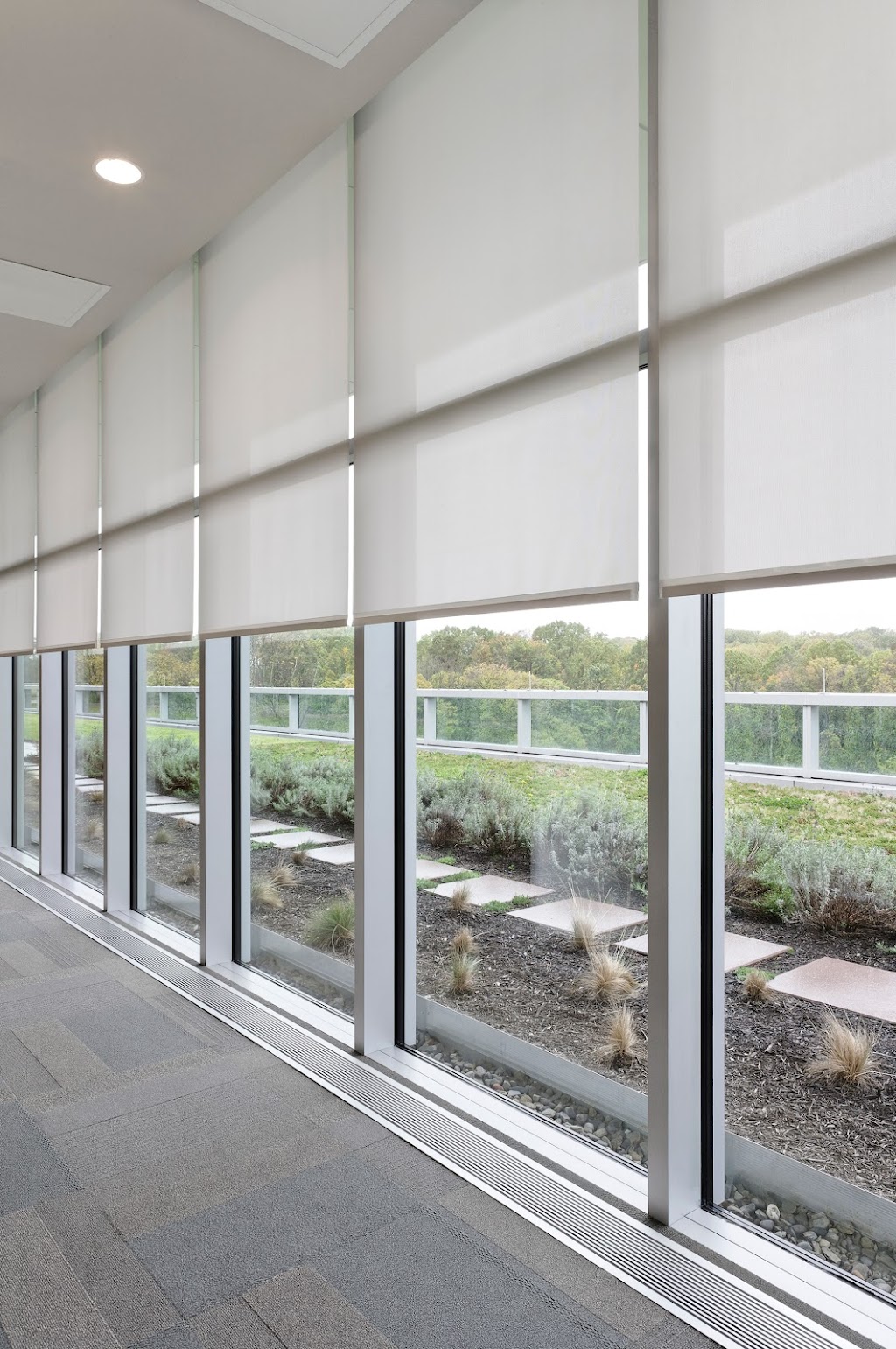 Automatic Blinds CT | 31 Cedar Heights Rd, Stamford, CT 06905, USA | Phone: (475) 231-4287