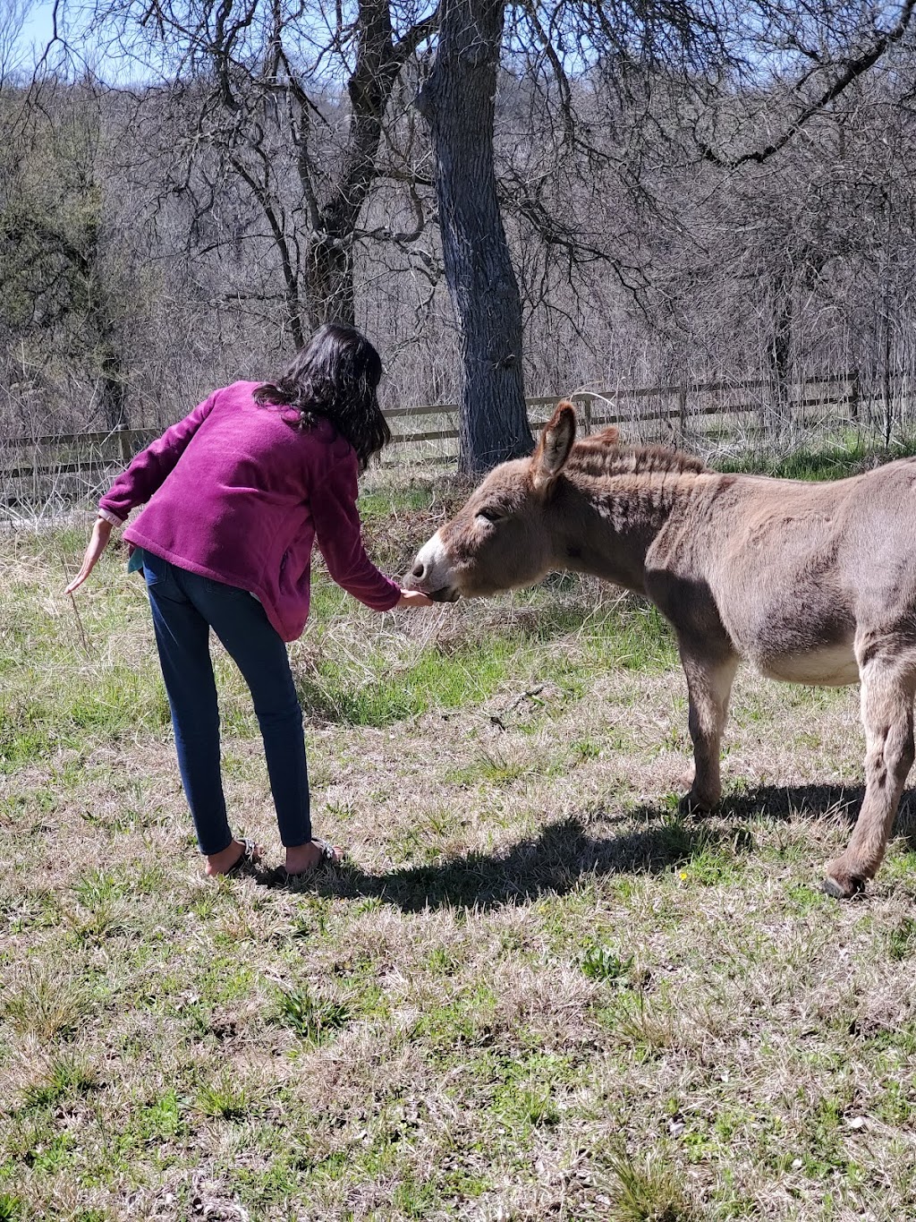 Green Acres ATX | 2889 Farm to Market Rd 1704, Elgin, TX 78621, USA | Phone: (512) 598-1995