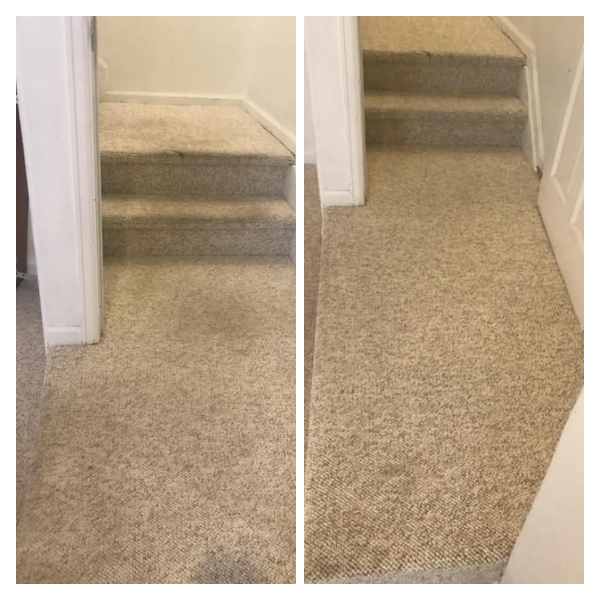 Pristine Carpet Cleaning | 12161 Bannock St unit a, Westminster, CO 80234, USA | Phone: (303) 993-6751