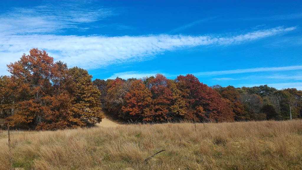 Bunker Park Stables | 13175 County Parkway D entrance At, 550 Bunker Lake Blvd NW, Andover, MN 55304, USA | Phone: (763) 757-9445