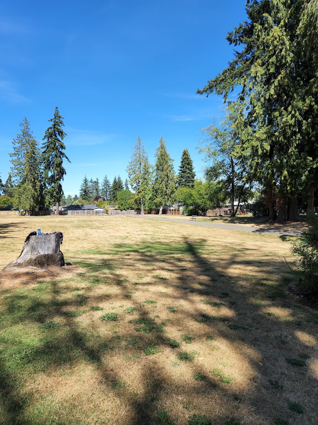 Matt Hirvela Bicentennial Park | 4105 222nd Street SW, Mountlake Terrace, WA 98043, USA | Phone: (425) 776-9173