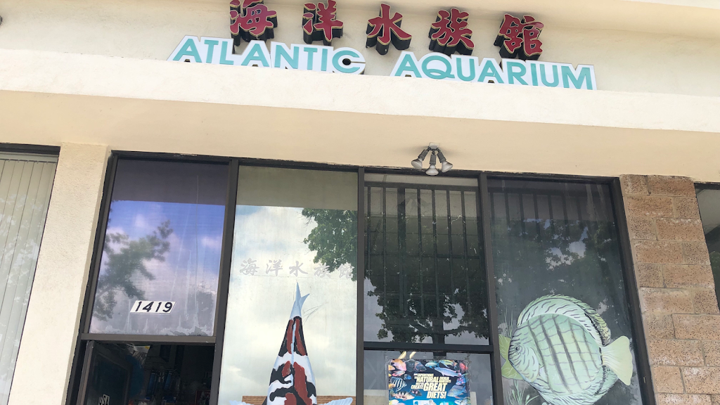 Atlantic Aquarium | 1419 S 9th St, Alhambra, CA 91803, USA | Phone: (626) 988-3320