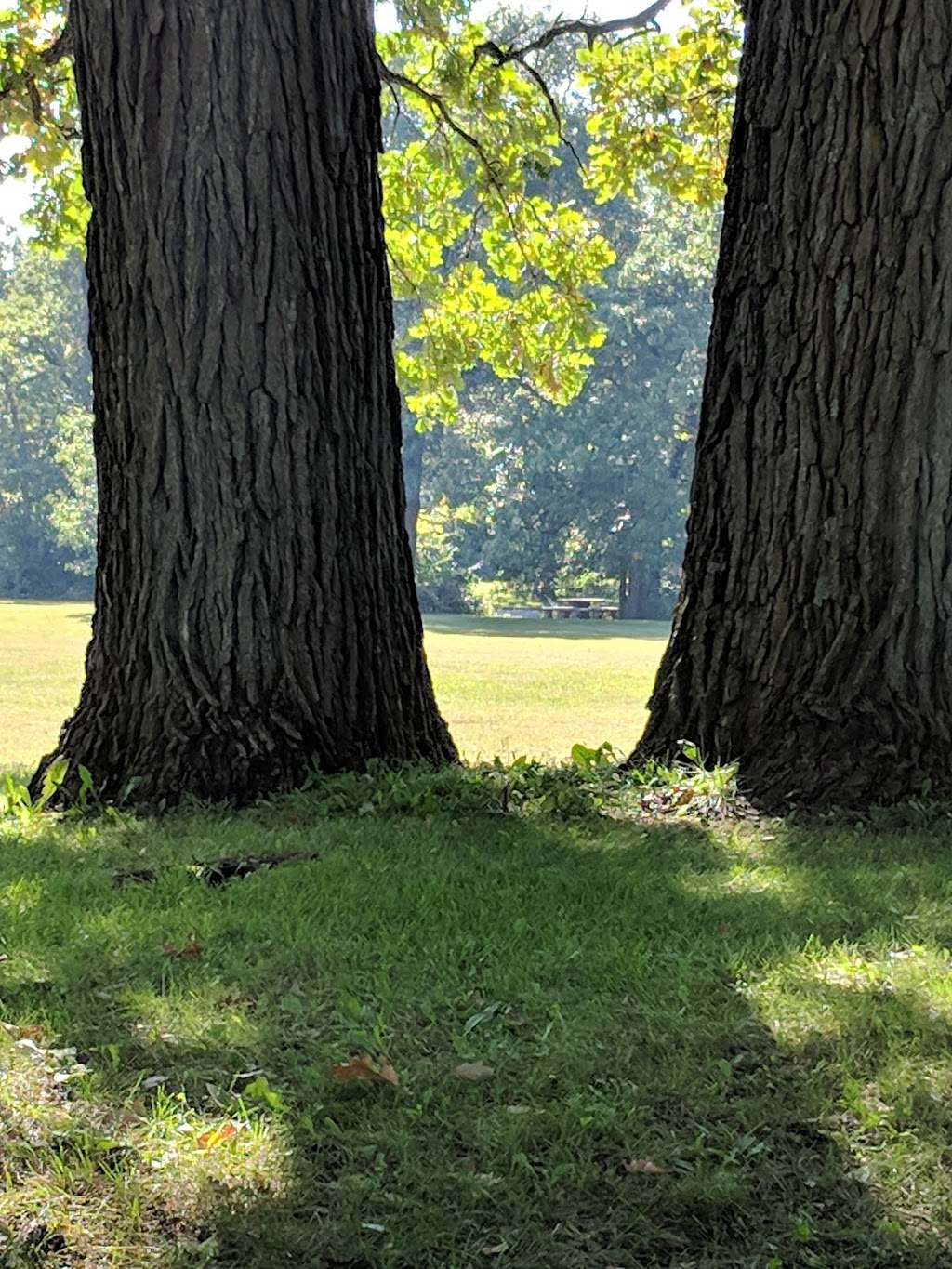 Dayton Port Roadside Park | 9344 US-169, Ramsey, MN 55303, USA | Phone: (651) 234-7731