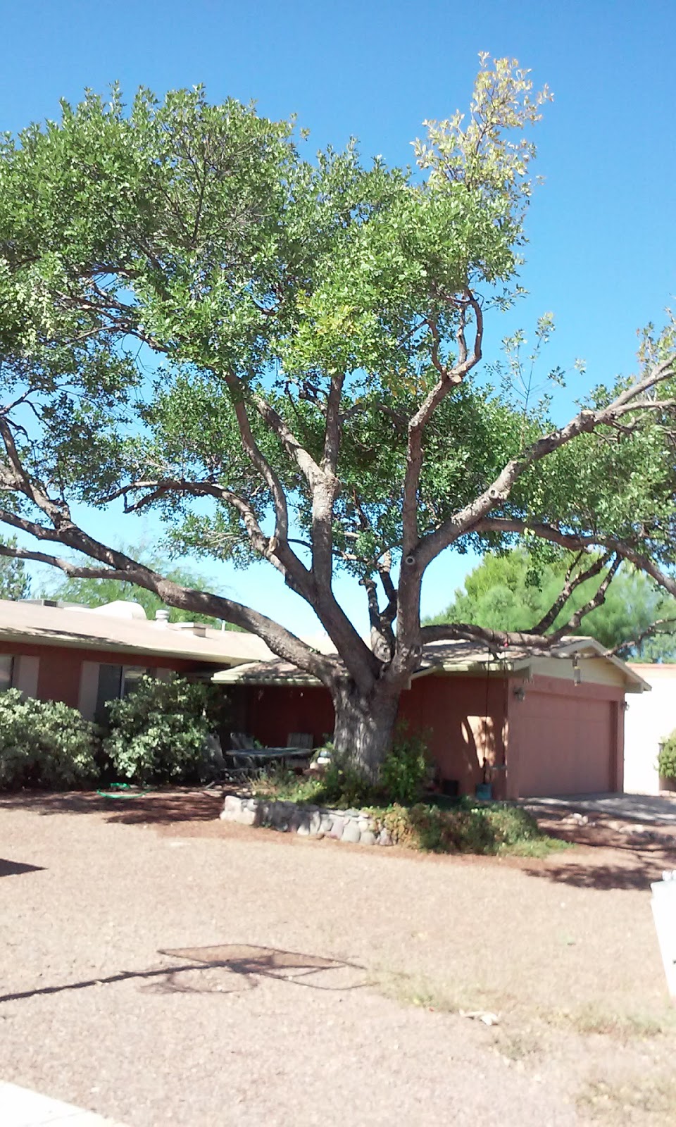 Sonoran Sky Realty Inc | 7511 E La Cienega Dr, Tucson, AZ 85715, USA | Phone: (520) 232-2324