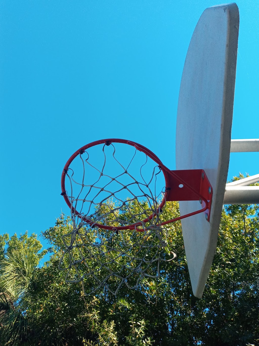 Palma Ceia Park | 2200 S Marti St, Tampa, FL 33629, USA | Phone: (813) 274-8211