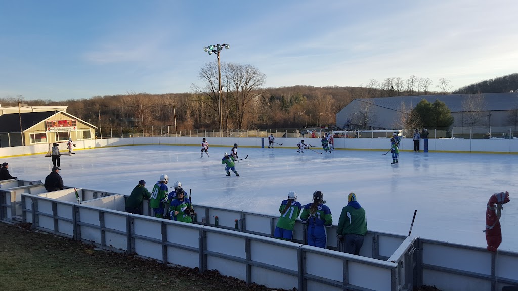 Brewster Ice Arena | 63 Fields Ln, Brewster, NY 10509, USA | Phone: (845) 279-2229