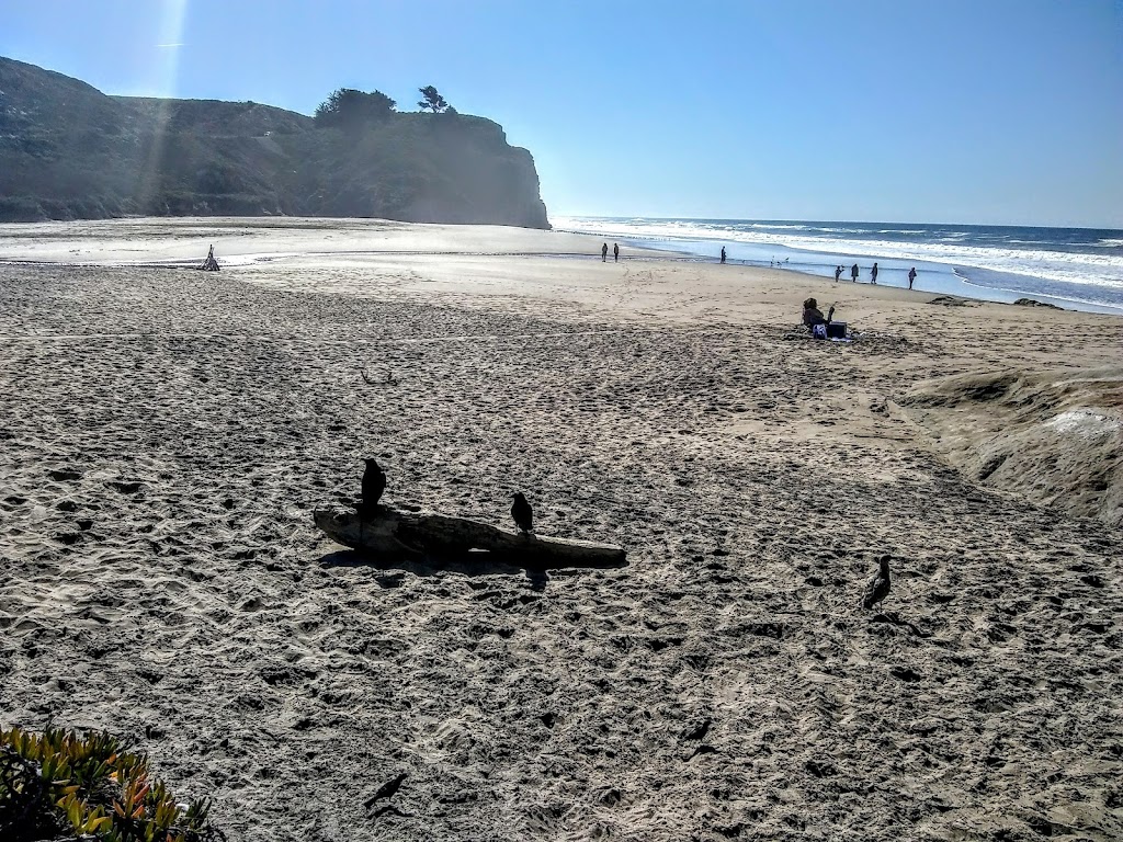 Pomponio State Beach | 19369 Cabrillo Hwy S, San Gregorio, CA 94074, USA | Phone: (650) 879-2170