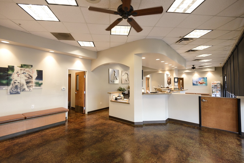 Augusta Ranch Animal Hospital | 2721 S Ellsworth Rd #101, Mesa, AZ 85209, USA | Phone: (480) 380-6710