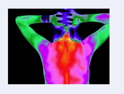 THERMOGRAPHY CLINIC | 3060 Ogden Ave #200, Lisle, IL 60532, USA | Phone: (630) 778-2195