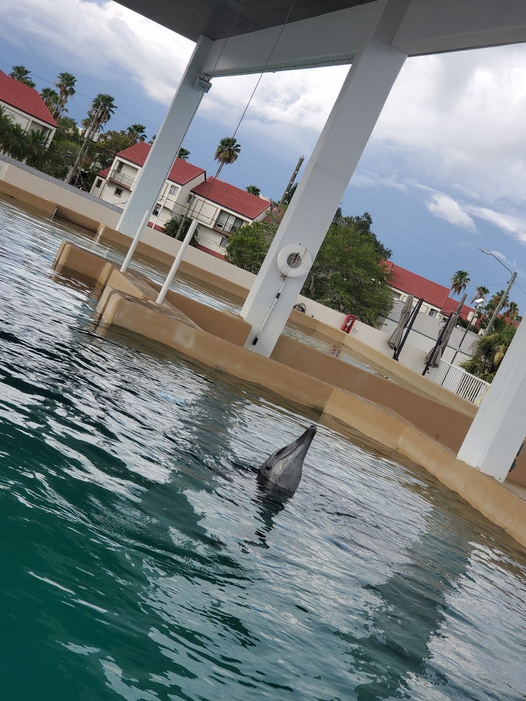 Parking Garage at Clearwater Marine Aquarium | 249 Windward Passage, Clearwater, FL 33767, USA | Phone: (727) 441-1790